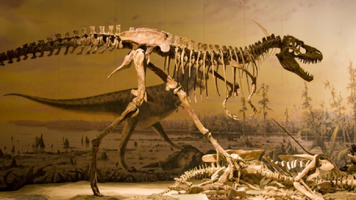 Utah man who helped unearth T. rex dies at 64