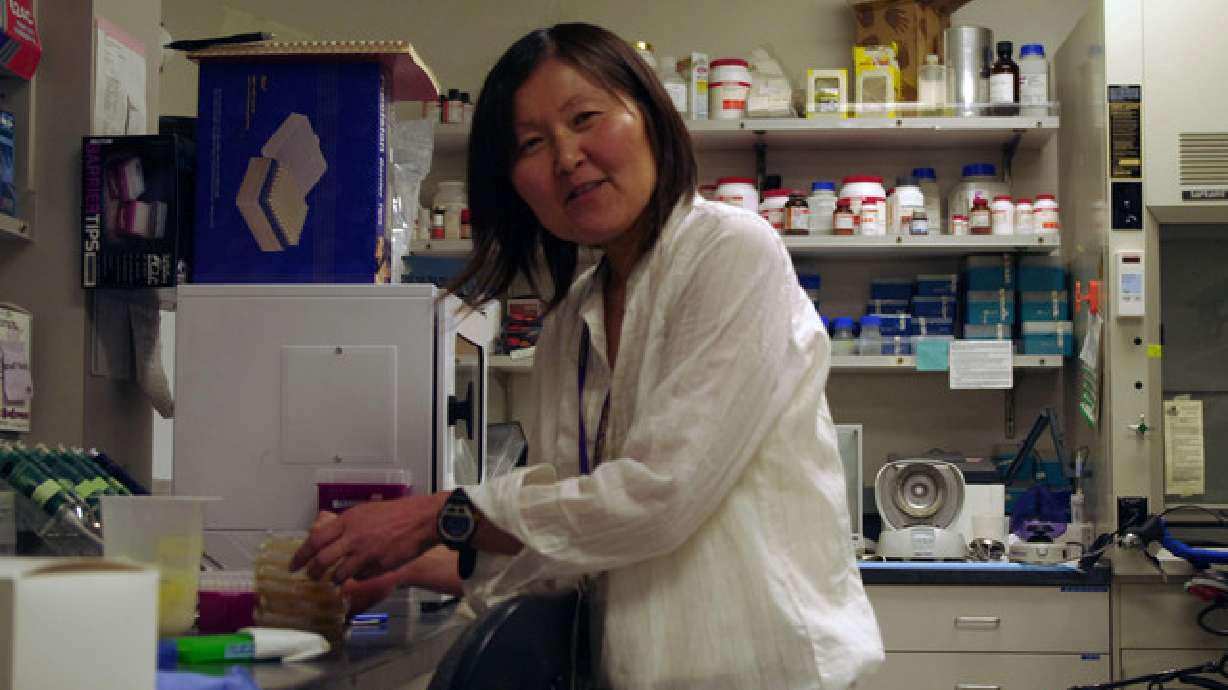 Family files suit in fatal Pineview boating accident