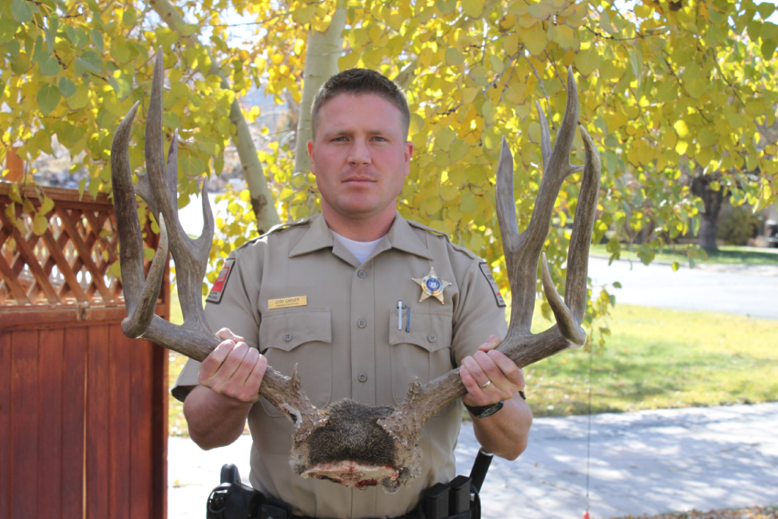 Reward offered for information on poaching case