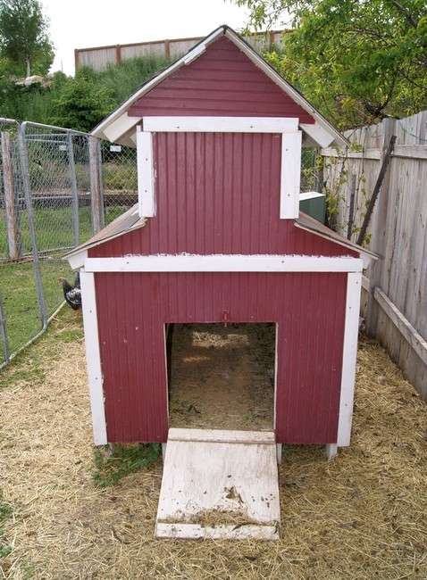 Providing adequate shelter is important for the health and security of chickens in cold winter weather. (Photo: Flint Stephens)