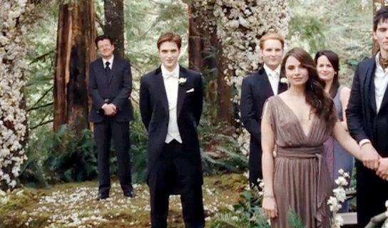 The Twilight Saga: Breaking Dawn Part 1