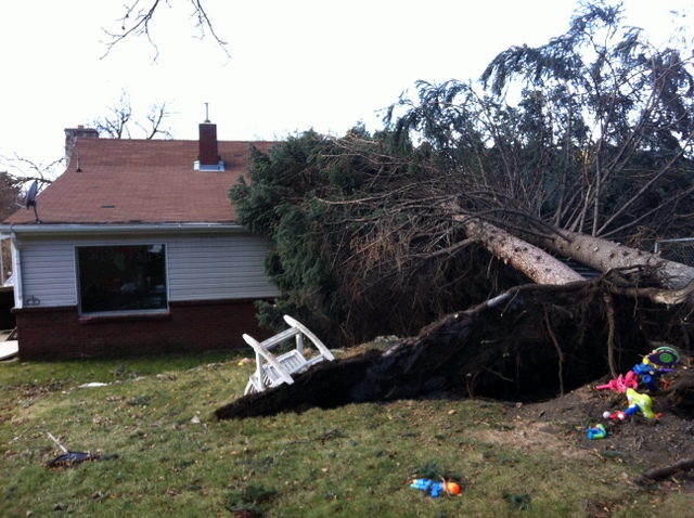 Wind storm victim: 'We got lucky'
