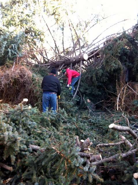 Wind storm victim: 'We got lucky'