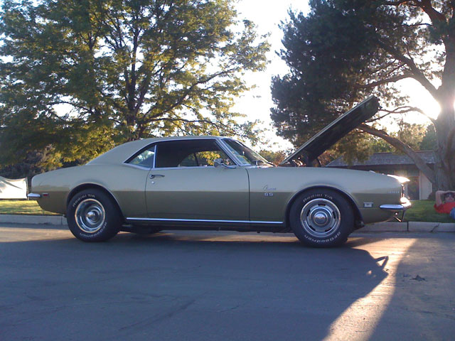 Rare car stolen from Murray window tinting business