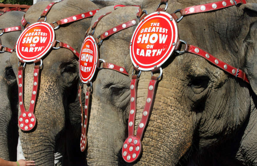 PETA sues UTA for stifling free speech