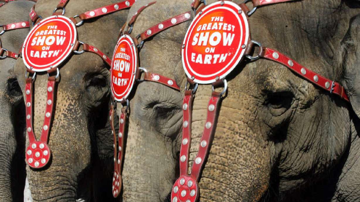 PETA sues UTA for stifling free speech