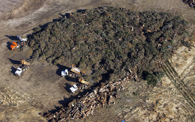 Wind storm debris strains landfill, exceeds last year's waste