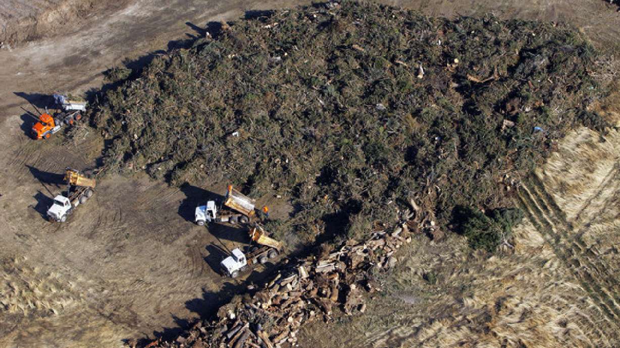 Wind storm debris strains landfill, exceeds last year's waste