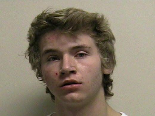 Police praise residents for handling Provo armed arrest correctly