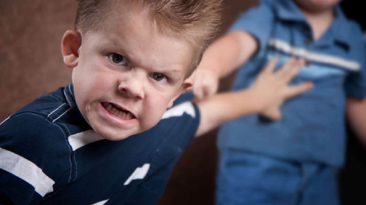 Toddler aggression strongly linked to genetics, study says