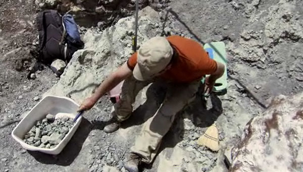 'Dirty Jobs' to feature Utah paleontologists