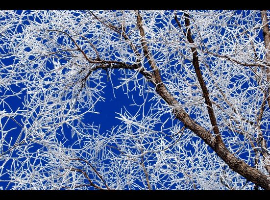 Inversion creates beautiful scenes despite the pollution