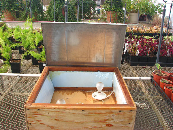 Start You Seeds Indoors - The Right Way