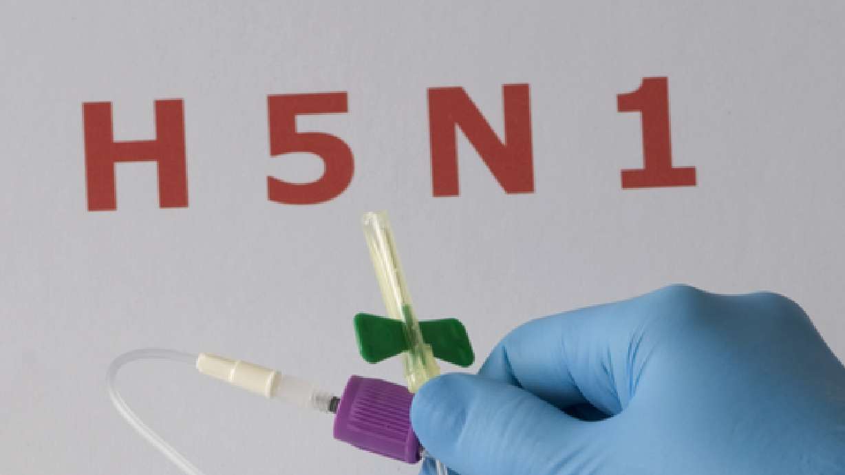 U.S. asks scientists to censor studies, halt research on H5N1 flu virus