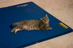 San Francisco Airport Opens Free Yoga Room For Tense Travelers