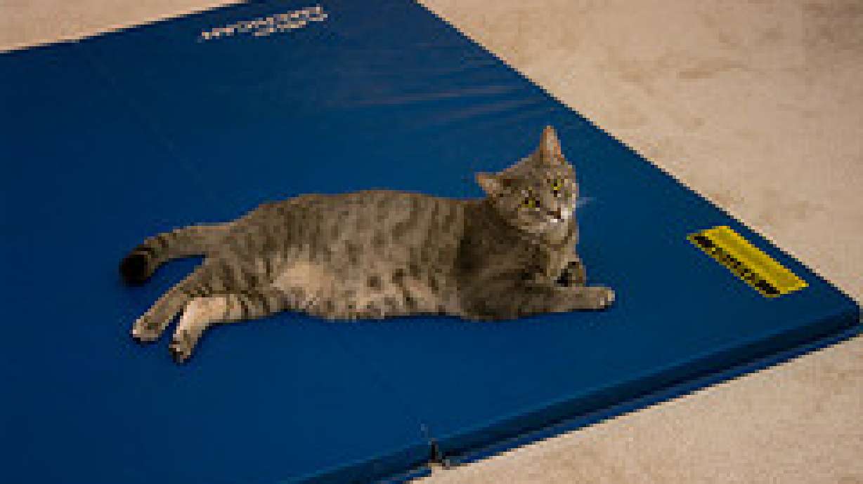San Francisco Airport Opens Free Yoga Room For Tense Travelers