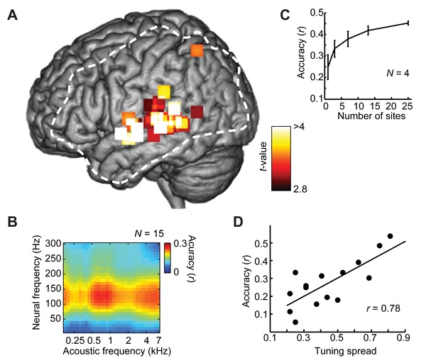 We can (almost) read minds now