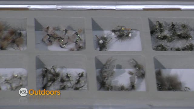 Fish Tech Fishing Report 02/04/2012