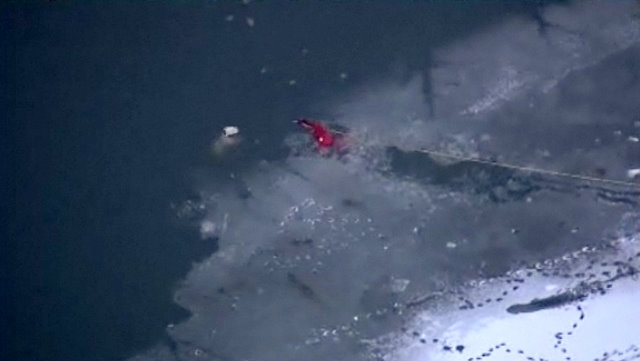 Dog rescued by firefighter bites news anchor in interview