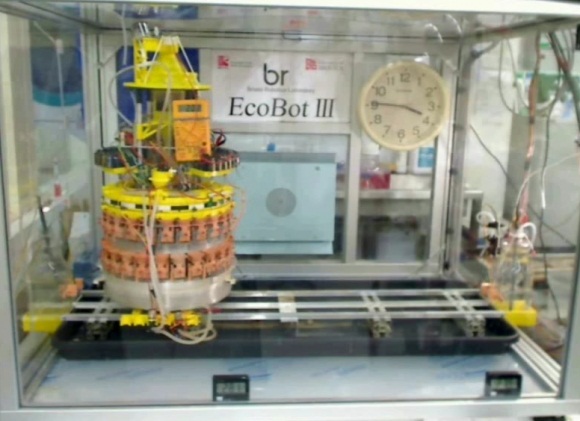 Eco-friendly robot eats, sheds waste to power itself