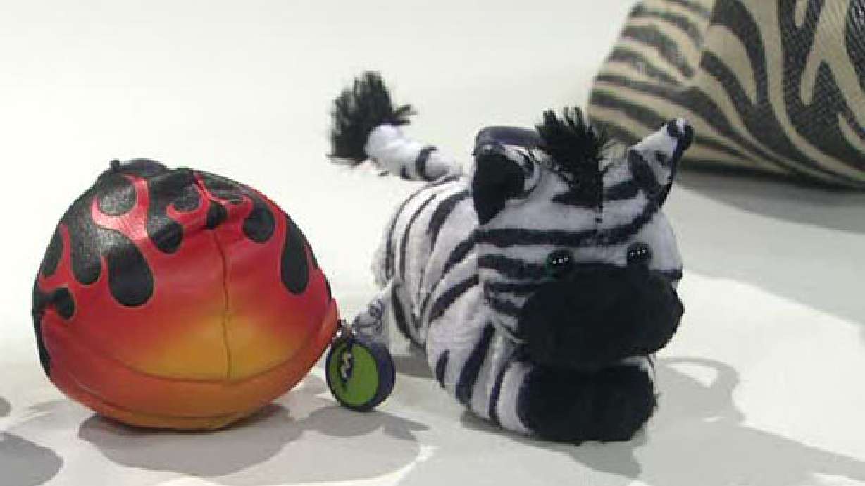 Toy's creators invited to New York Toy Fair