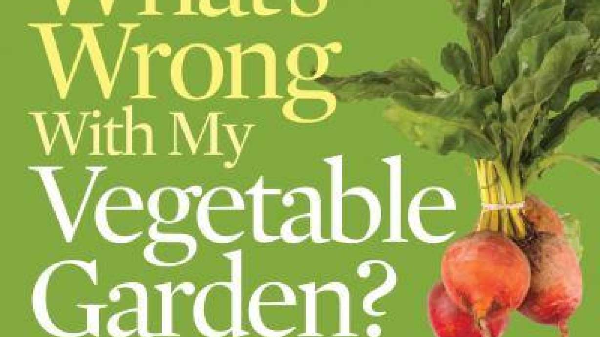 What's Wrong With My Vegetable Garden?