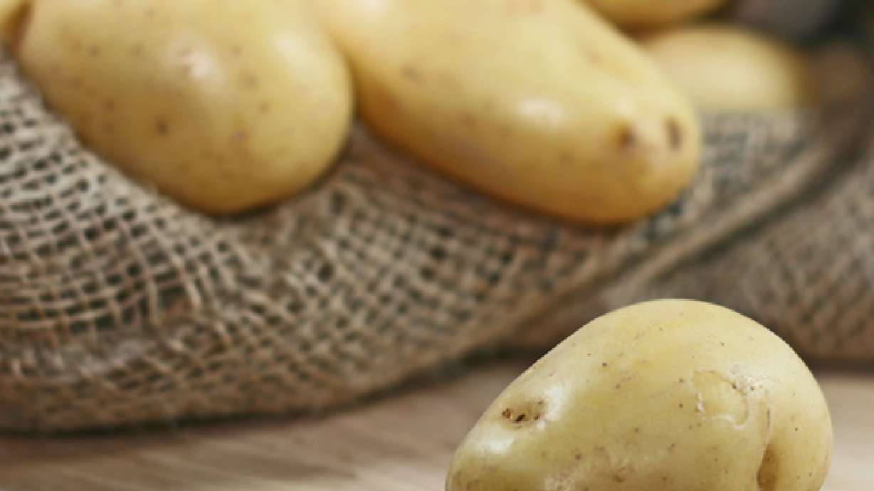 5 amazing potato recipes for Thanksgiving