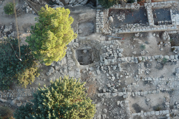 Biblical gardens come back to life in Israel
