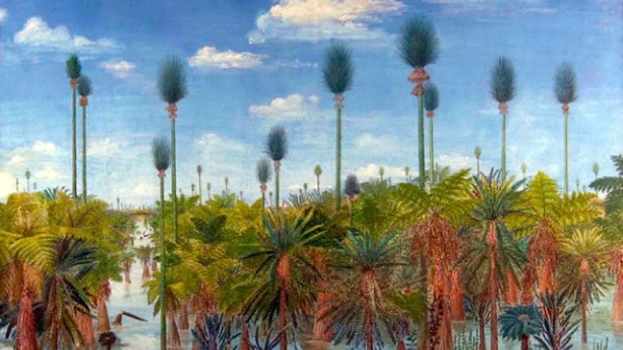 300-million-year-old forest discovered in China