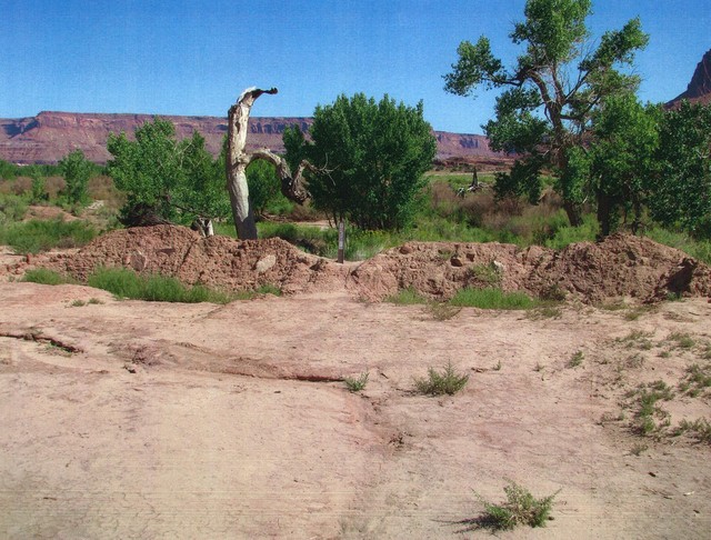 BLM under criminal investigation by San Juan County