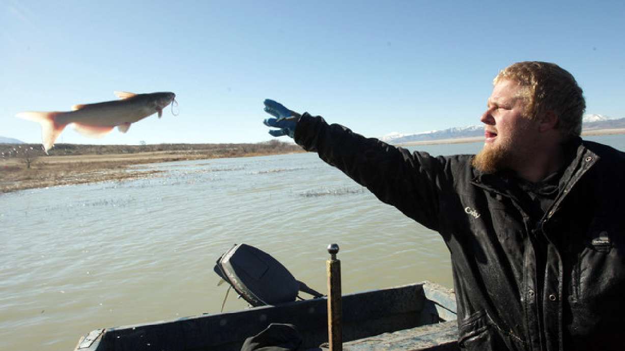 Residents, officials hope Utah Lake makes comeback