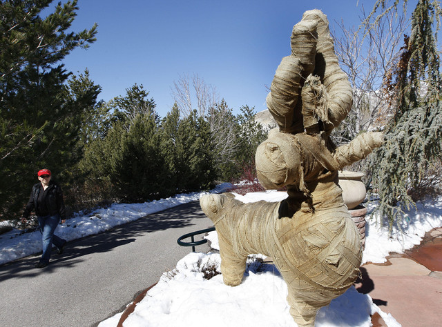 Early buds not a problem yet, gardeners say
