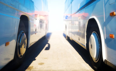Buckle up: Company puts seat belts in buses