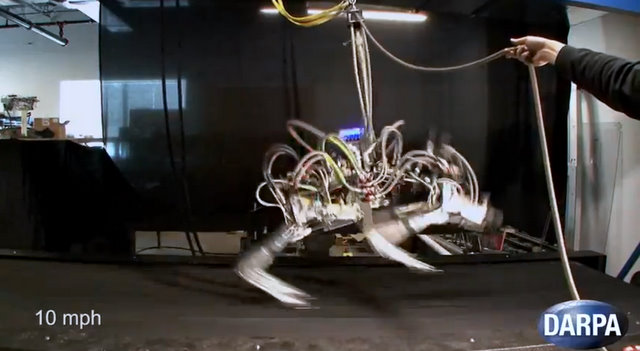 Robot cheetah sets new speed record 