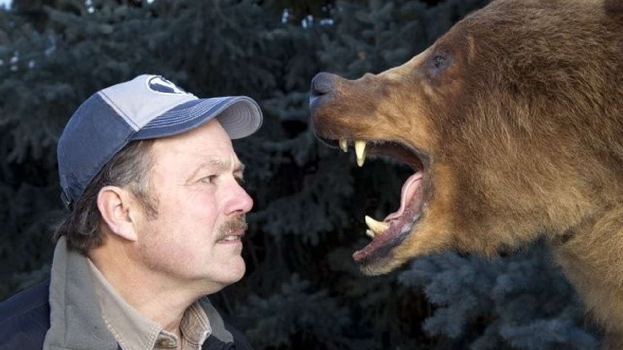 Bear problem? Guns won't make you safer, study shows