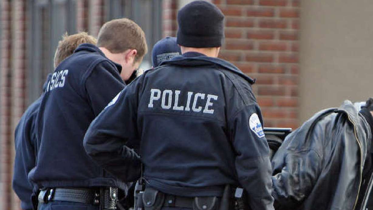 Police deploy Taser after man allegedly assaults officer at Twilight concert