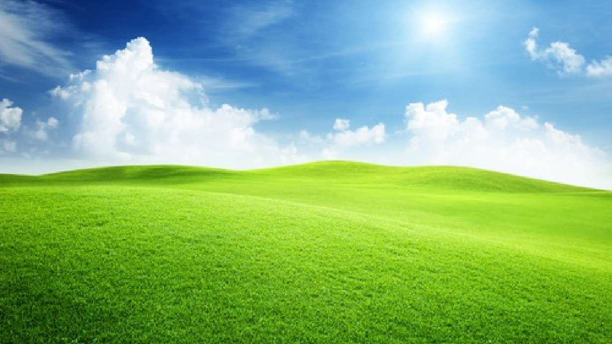 Happy Living roundup: What happiness isn't