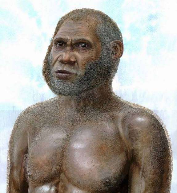 An artist's depiction of what the Red Deer Cave people may have look liked, based on the analysis of the authors of the new study. They favor the opinion that the Red Deer Cave people represent a new species of human.
