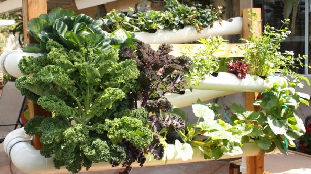 Space Saving Solutions to Gardening