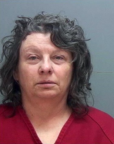 Mother accused of shooting daughter had 'plan to die'