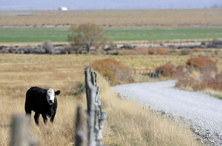 Water rights granted in Nevada pipeline plan