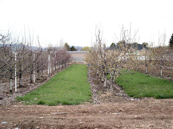 Climate and Microclimates