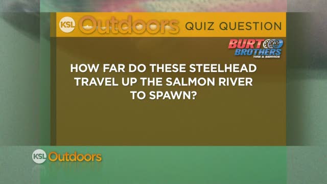 Quiz for March 31