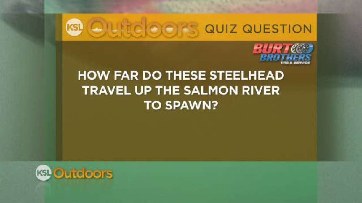 Quiz for March 31