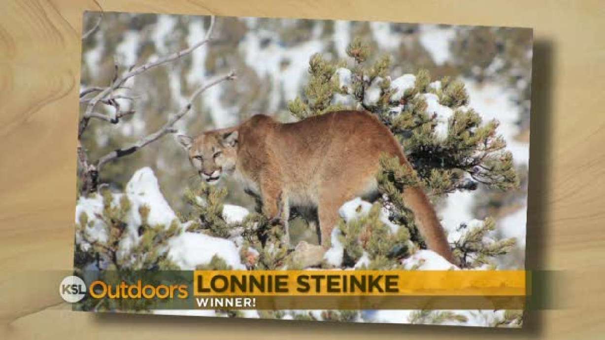 Camp Chef Snapshot of the Week - 03/31/2012