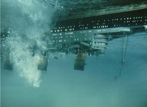 The Poseidon Adventure