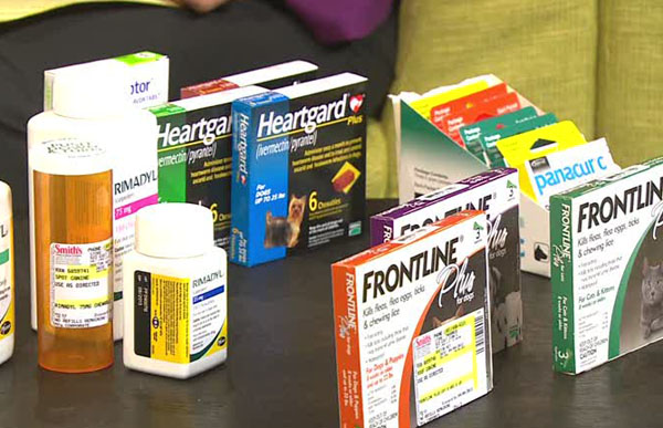 Pet prescriptions now available at grocery stores