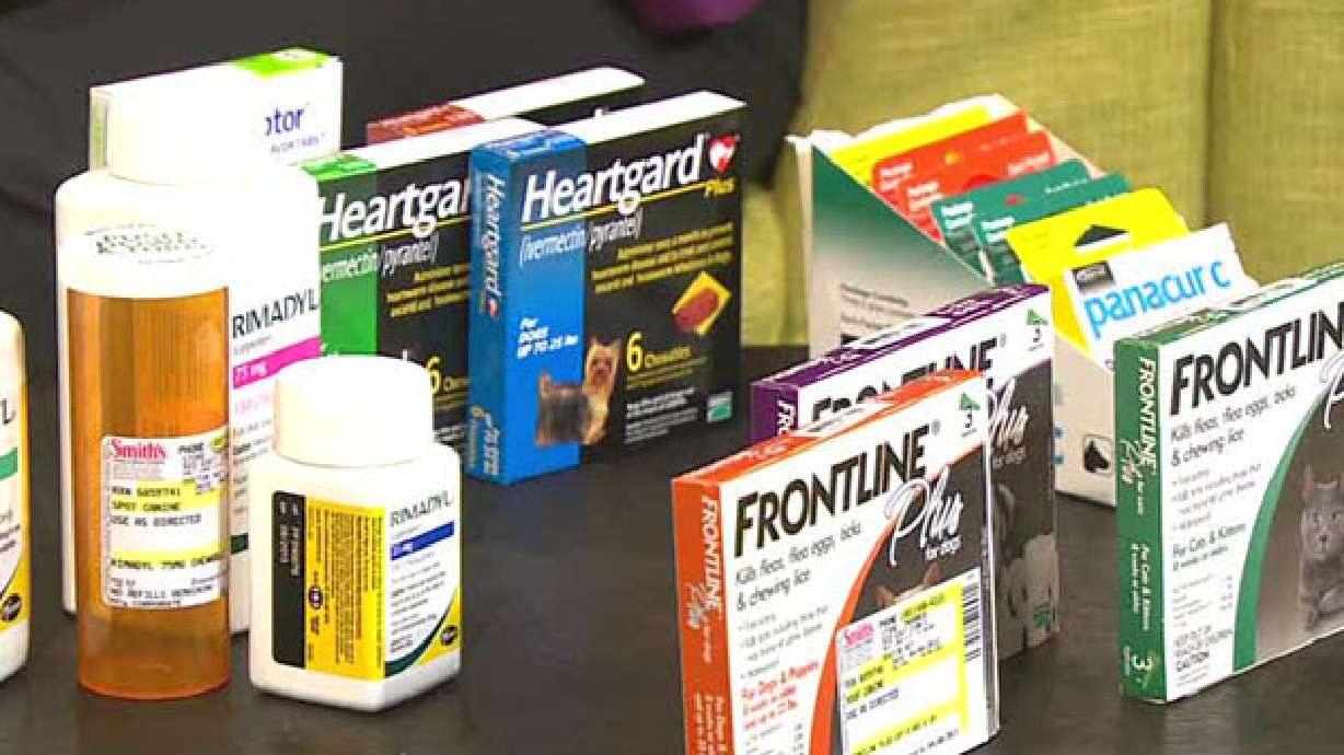 Pet prescriptions now available at grocery stores