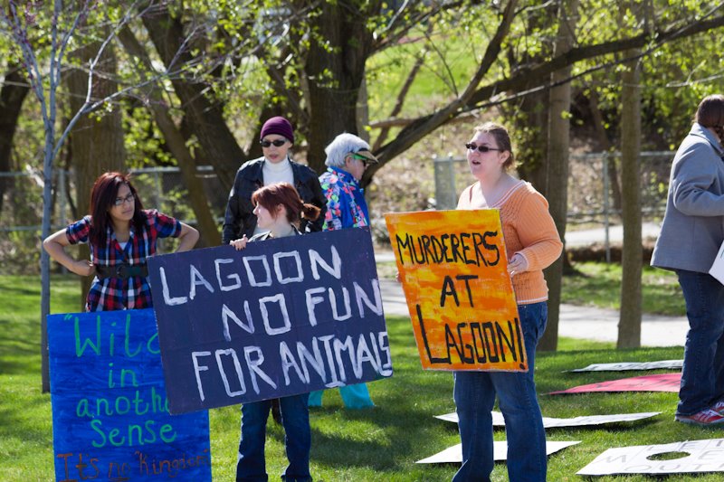 Animal rights activists protest Lagoon