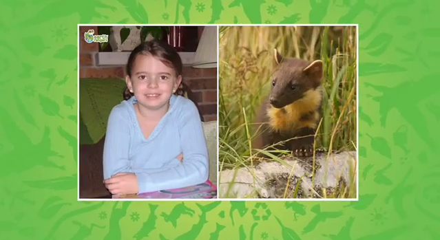 7-year-old's 'stupid' idea raises thousands for wildlife